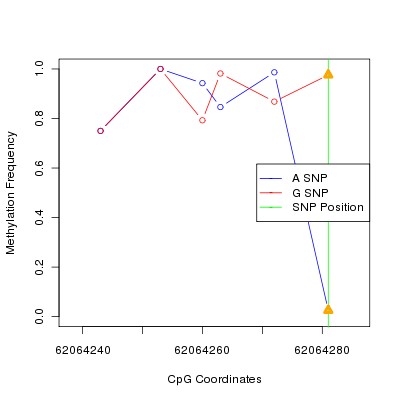 Allele Specific Methylation Frequency Diagram for chr20 62064281 SNP.