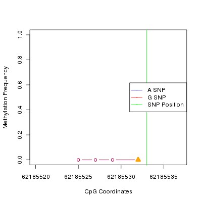 Allele Specific Methylation Frequency Diagram for chr20 62185533 SNP.