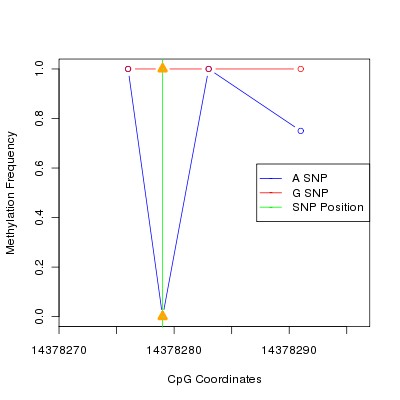 Allele Specific Methylation Frequency Diagram for chr21 14378279 SNP.