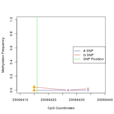 Allele Specific Methylation Frequency Diagram for chr21 33066416 SNP.