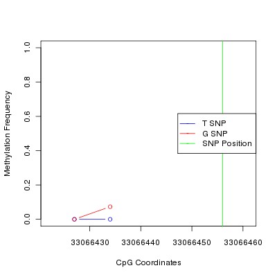 Allele Specific Methylation Frequency Diagram for chr21 33066456 SNP.