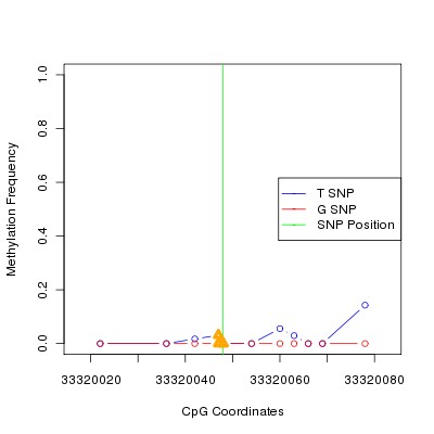 Allele Specific Methylation Frequency Diagram for chr21 33320048 SNP.