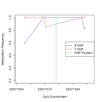 Allele Specific Methylation Frequency Diagram for chr22 22977478 SNP.