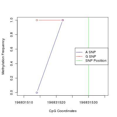 Allele Specific Methylation Frequency Diagram for chr3 196831530 SNP.