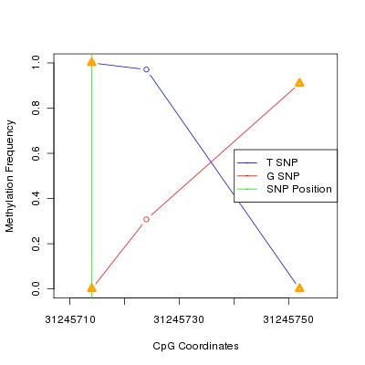 Allele Specific Methylation Frequency Diagram for chr6 31245714 SNP.