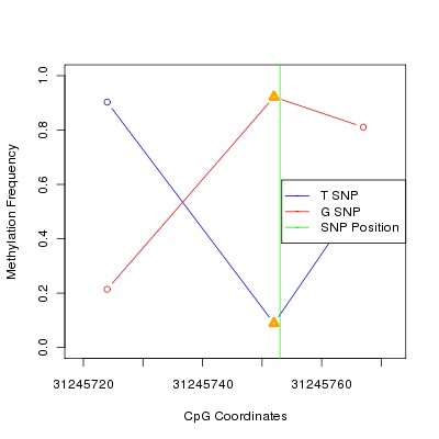 Allele Specific Methylation Frequency Diagram for chr6 31245753 SNP.