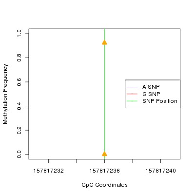 Allele Specific Methylation Frequency Diagram for chr7 157817236 SNP.