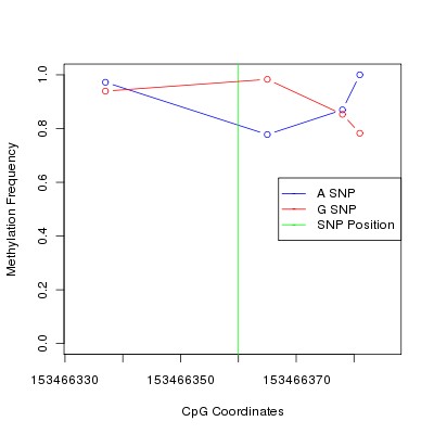 Allele Specific Methylation Frequency Diagram for chrX 153466360 SNP.