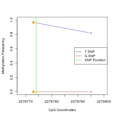 Allele Specific Methylation Frequency Diagram for chr11 2279774 SNP.
