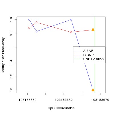 Allele Specific Methylation Frequency Diagram for chr12 103183667 SNP.