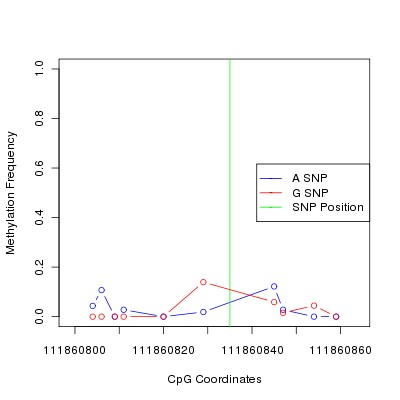 Allele Specific Methylation Frequency Diagram for chr12 111860835 SNP.