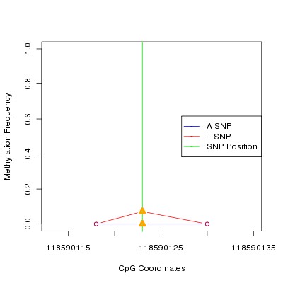 Allele Specific Methylation Frequency Diagram for chr12 118590123 SNP.