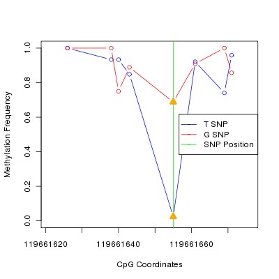 Allele Specific Methylation Frequency Diagram for chr12 119661655 SNP.