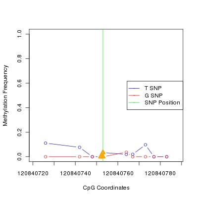 Allele Specific Methylation Frequency Diagram for chr12 120840753 SNP.