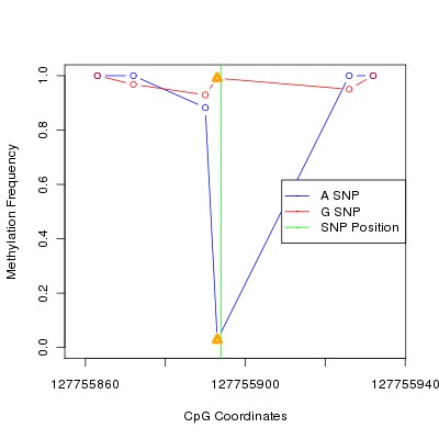 Allele Specific Methylation Frequency Diagram for chr12 127755894 SNP.