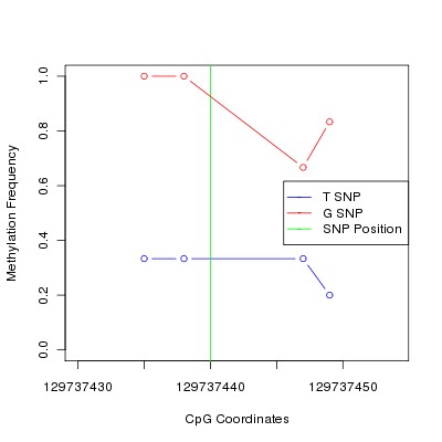 Allele Specific Methylation Frequency Diagram for chr12 129737440 SNP.