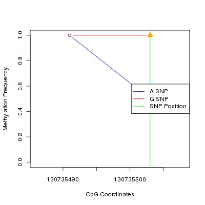Allele Specific Methylation Frequency Diagram for chr12 130735503 SNP.