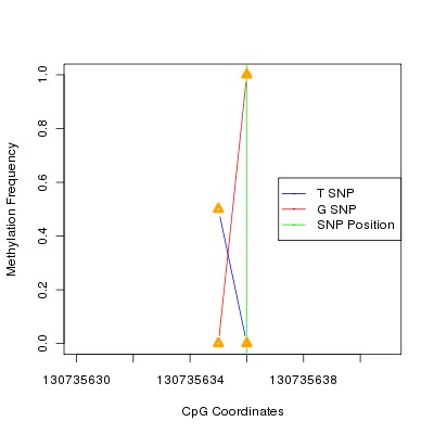 Allele Specific Methylation Frequency Diagram for chr12 130735636 SNP.