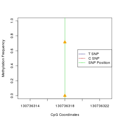 Allele Specific Methylation Frequency Diagram for chr12 130736318 SNP.