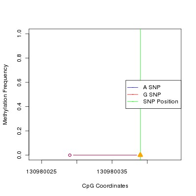 Allele Specific Methylation Frequency Diagram for chr12 130980039 SNP.