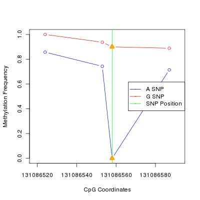 Allele Specific Methylation Frequency Diagram for chr12 131086558 SNP.