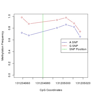 Allele Specific Methylation Frequency Diagram for chr12 131204980 SNP.