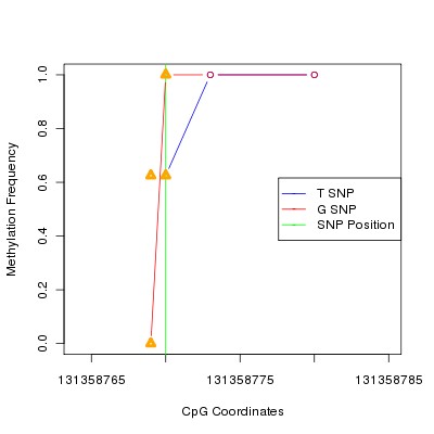 Allele Specific Methylation Frequency Diagram for chr12 131358770 SNP.