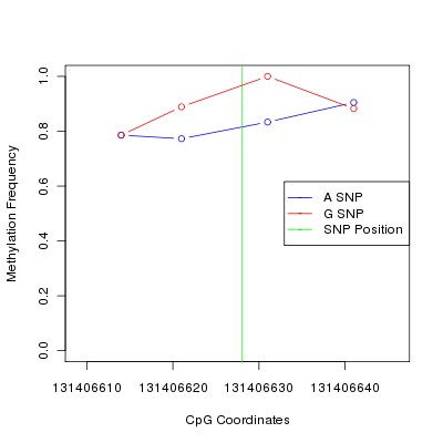 Allele Specific Methylation Frequency Diagram for chr12 131406628 SNP.