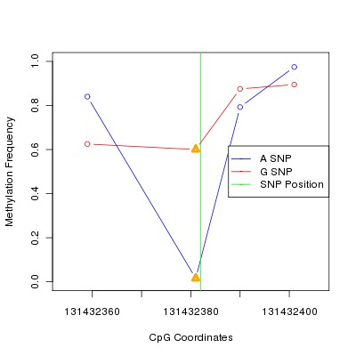 Allele Specific Methylation Frequency Diagram for chr12 131432382 SNP.