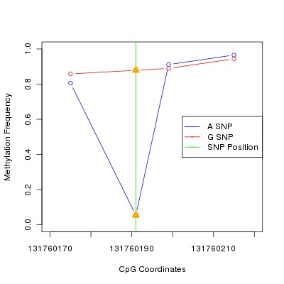 Allele Specific Methylation Frequency Diagram for chr12 131760191 SNP.