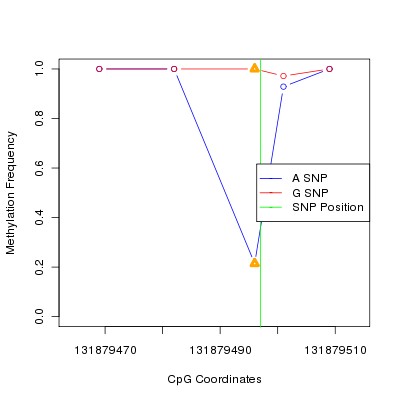 Allele Specific Methylation Frequency Diagram for chr12 131879497 SNP.