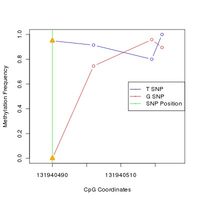 Allele Specific Methylation Frequency Diagram for chr12 131940490 SNP.