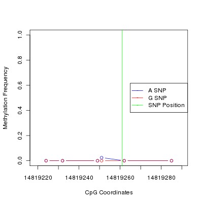 Allele Specific Methylation Frequency Diagram for chr12 14819261 SNP.