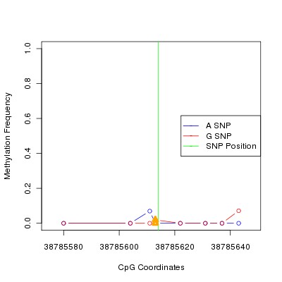 Allele Specific Methylation Frequency Diagram for chr12 38785614 SNP.