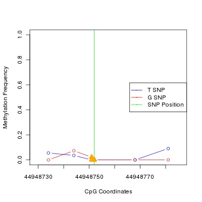Allele Specific Methylation Frequency Diagram for chr12 44948752 SNP.