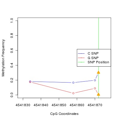 Allele Specific Methylation Frequency Diagram for chr12 4541872 SNP.