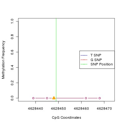 Allele Specific Methylation Frequency Diagram for chr12 4628449 SNP.