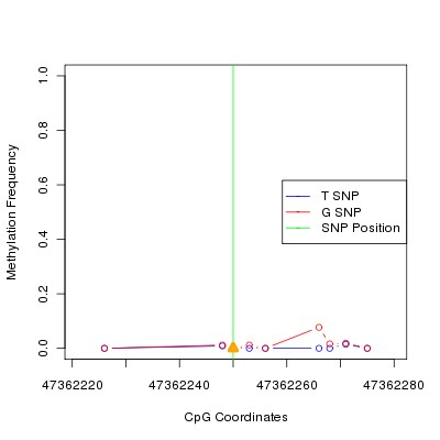 Allele Specific Methylation Frequency Diagram for chr12 47362250 SNP.