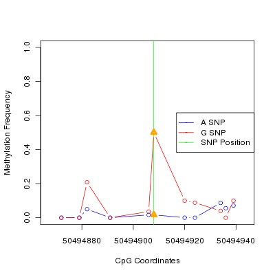 Allele Specific Methylation Frequency Diagram for chr12 50494908 SNP.