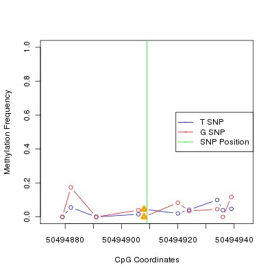 Allele Specific Methylation Frequency Diagram for chr12 50494909 SNP.