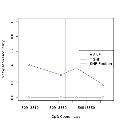 Allele Specific Methylation Frequency Diagram for chr12 50913835 SNP.