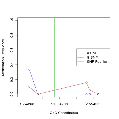 Allele Specific Methylation Frequency Diagram for chr12 51554277 SNP.