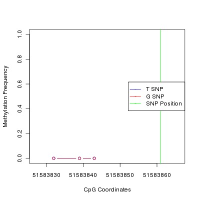 Allele Specific Methylation Frequency Diagram for chr12 51583861 SNP.