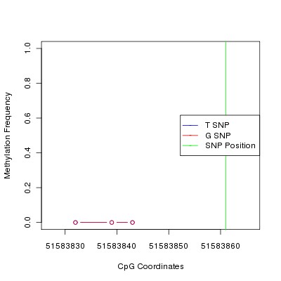 Allele Specific Methylation Frequency Diagram for chr12 51583861 SNP.