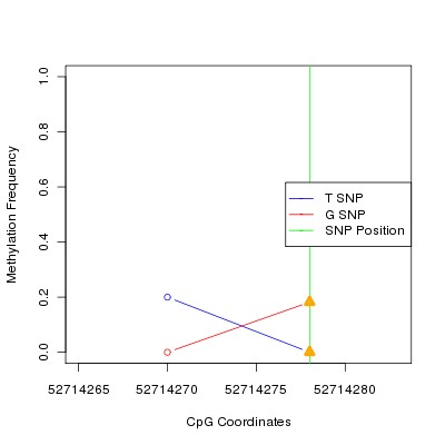 Allele Specific Methylation Frequency Diagram for chr12 52714278 SNP.