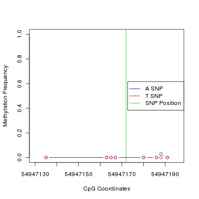 Allele Specific Methylation Frequency Diagram for chr12 54947172 SNP.