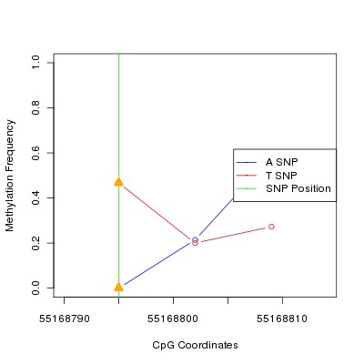 Allele Specific Methylation Frequency Diagram for chr12 55168795 SNP.