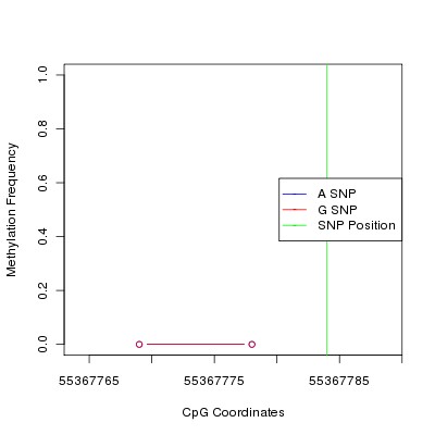 Allele Specific Methylation Frequency Diagram for chr12 55367784 SNP.