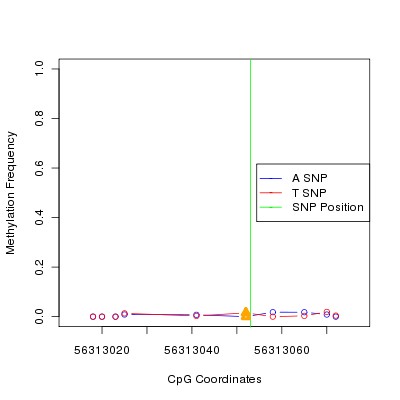 Allele Specific Methylation Frequency Diagram for chr12 56313053 SNP.