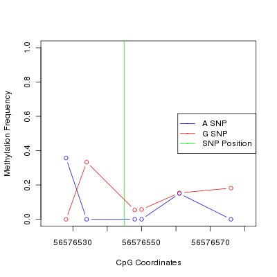 Allele Specific Methylation Frequency Diagram for chr12 56576545 SNP.